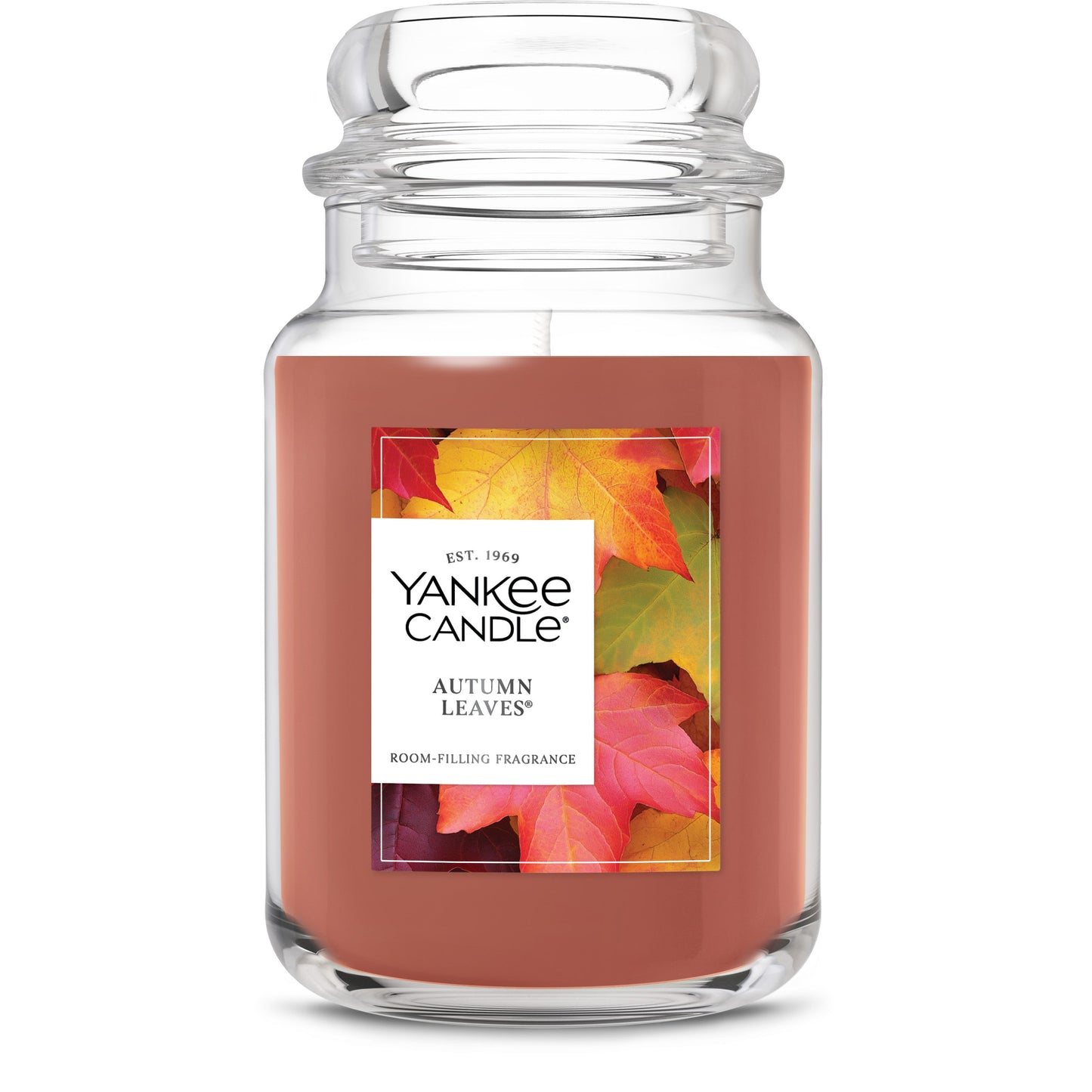 Autumn Leaves® Daily 4-0504