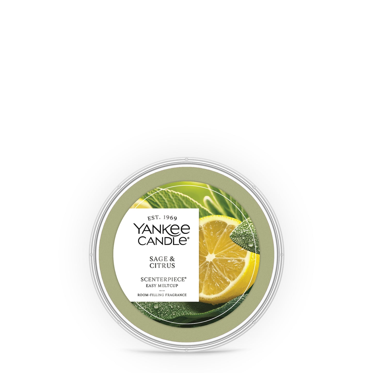 Sage & Citrus Studio 4-0662