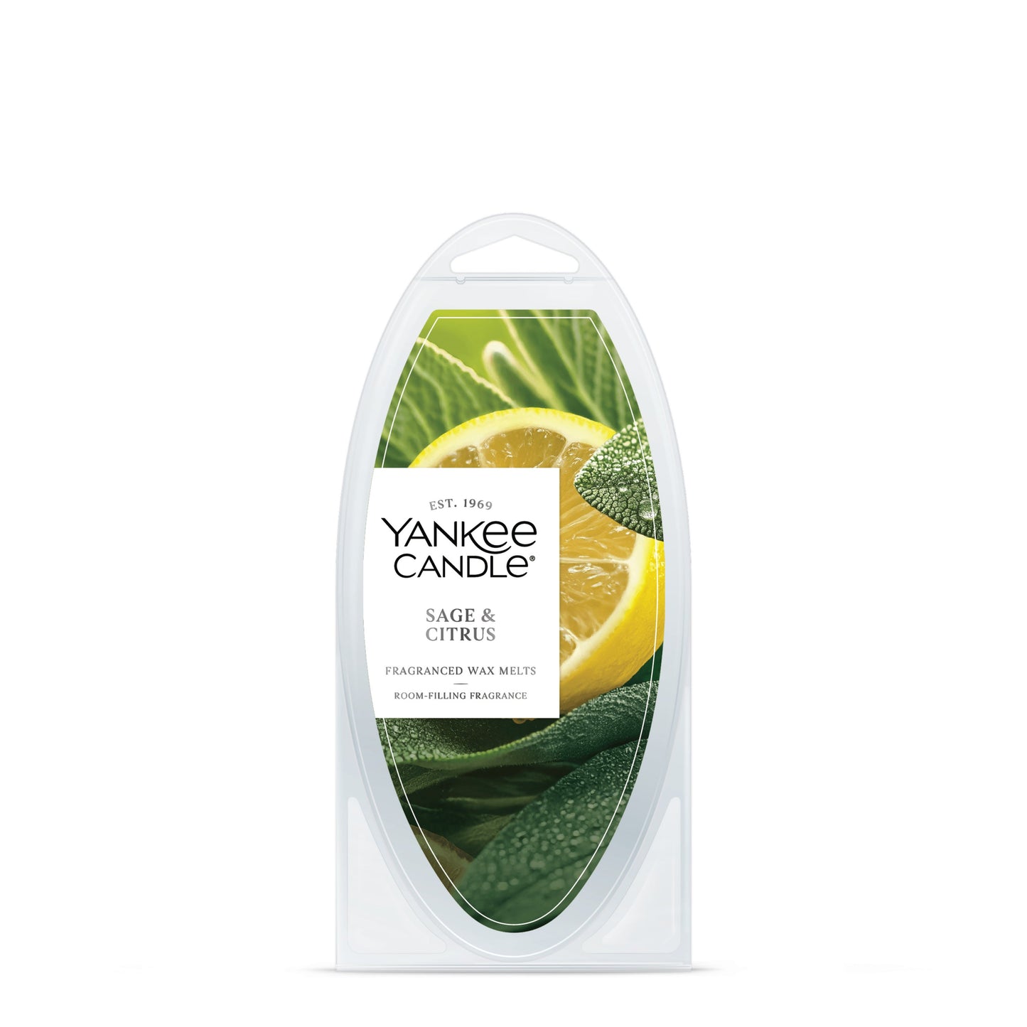 Sage & Citrus Studio 4-0662
