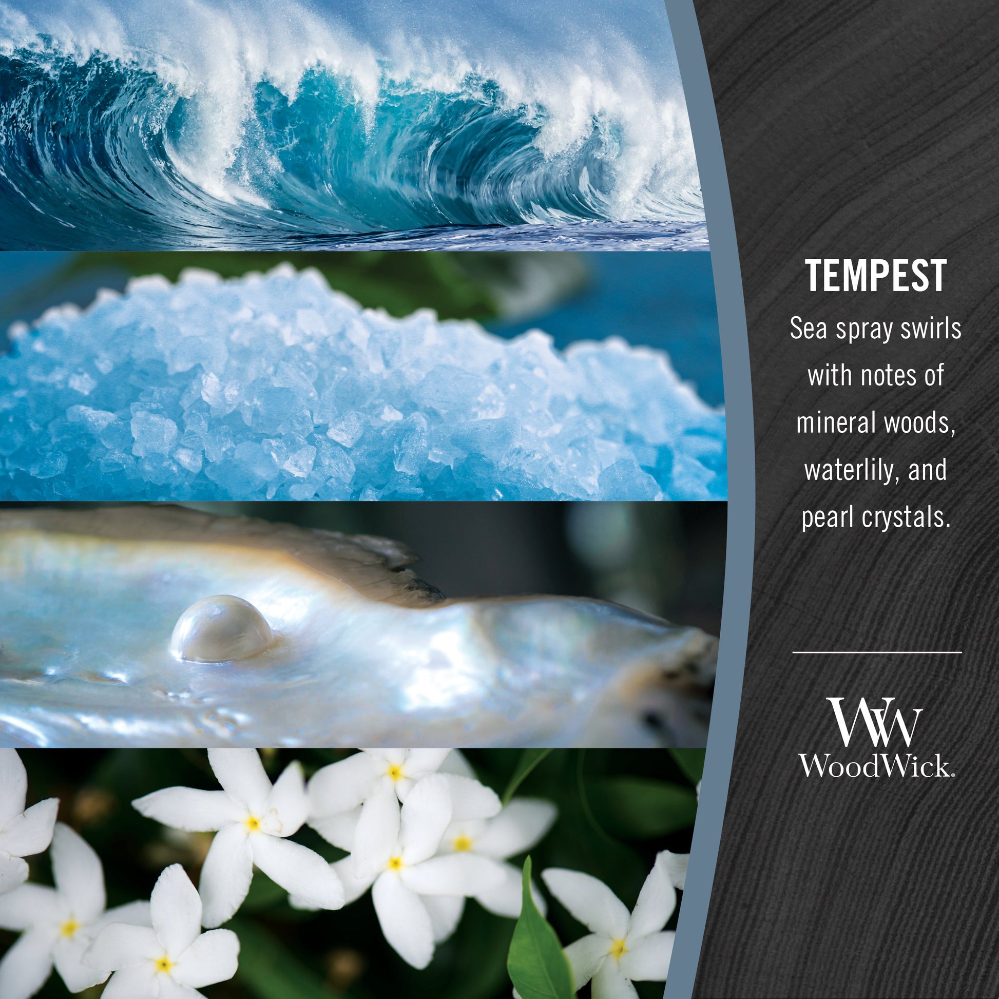 woodwick tempest signage with text saying sea spray swirls with notes of mineral woods, waterlily, and pearl crystals