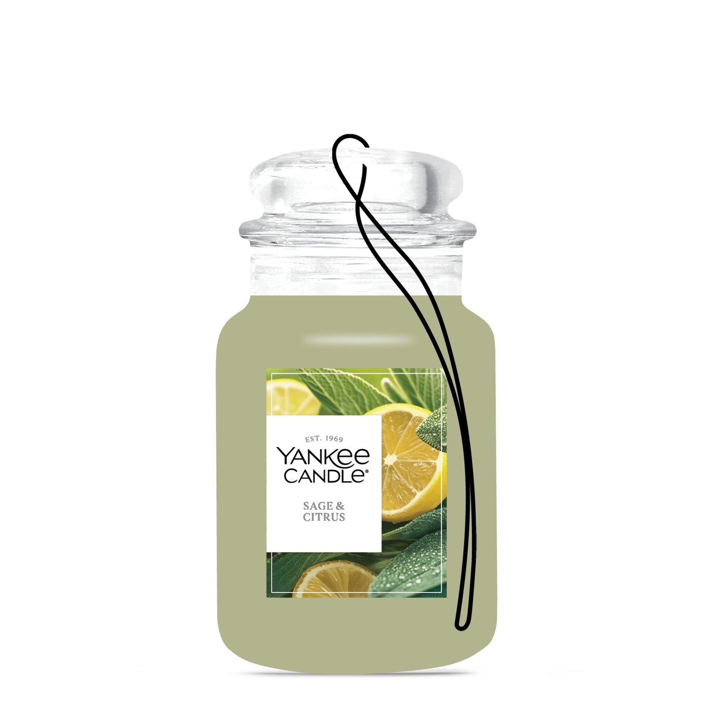 Sage & Citrus Studio 4-0882