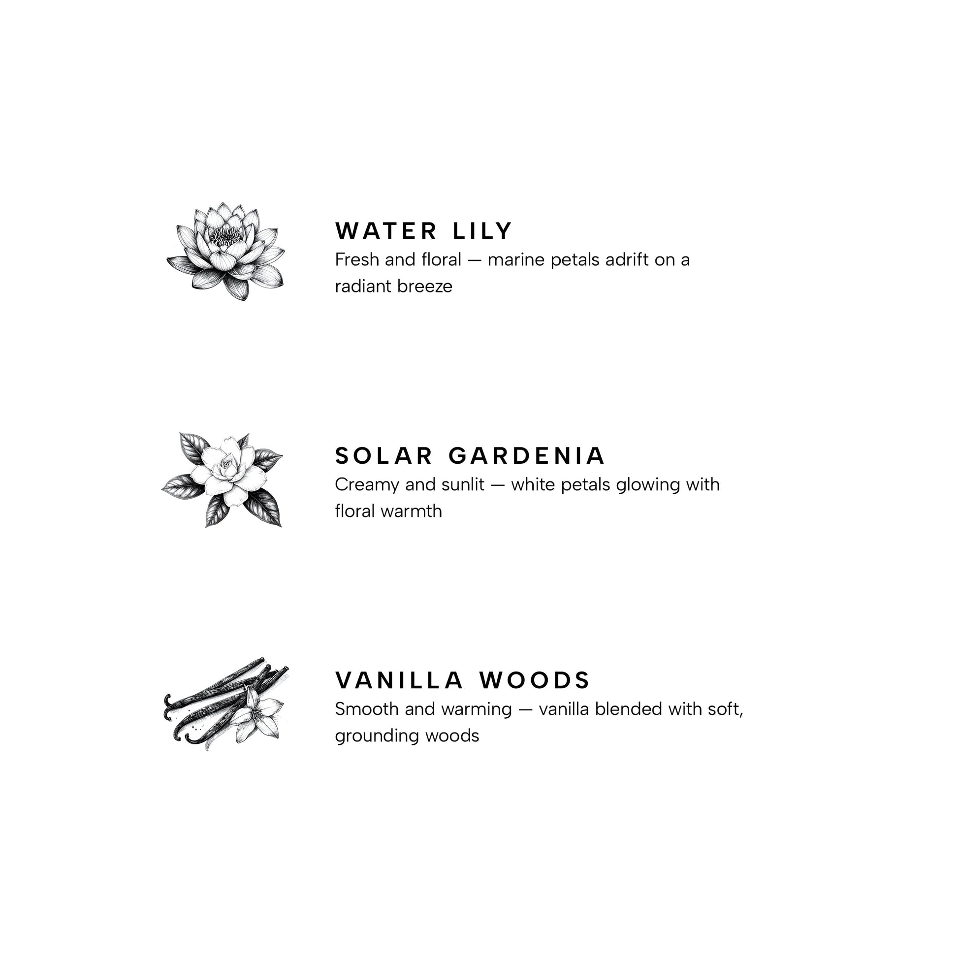 Petal