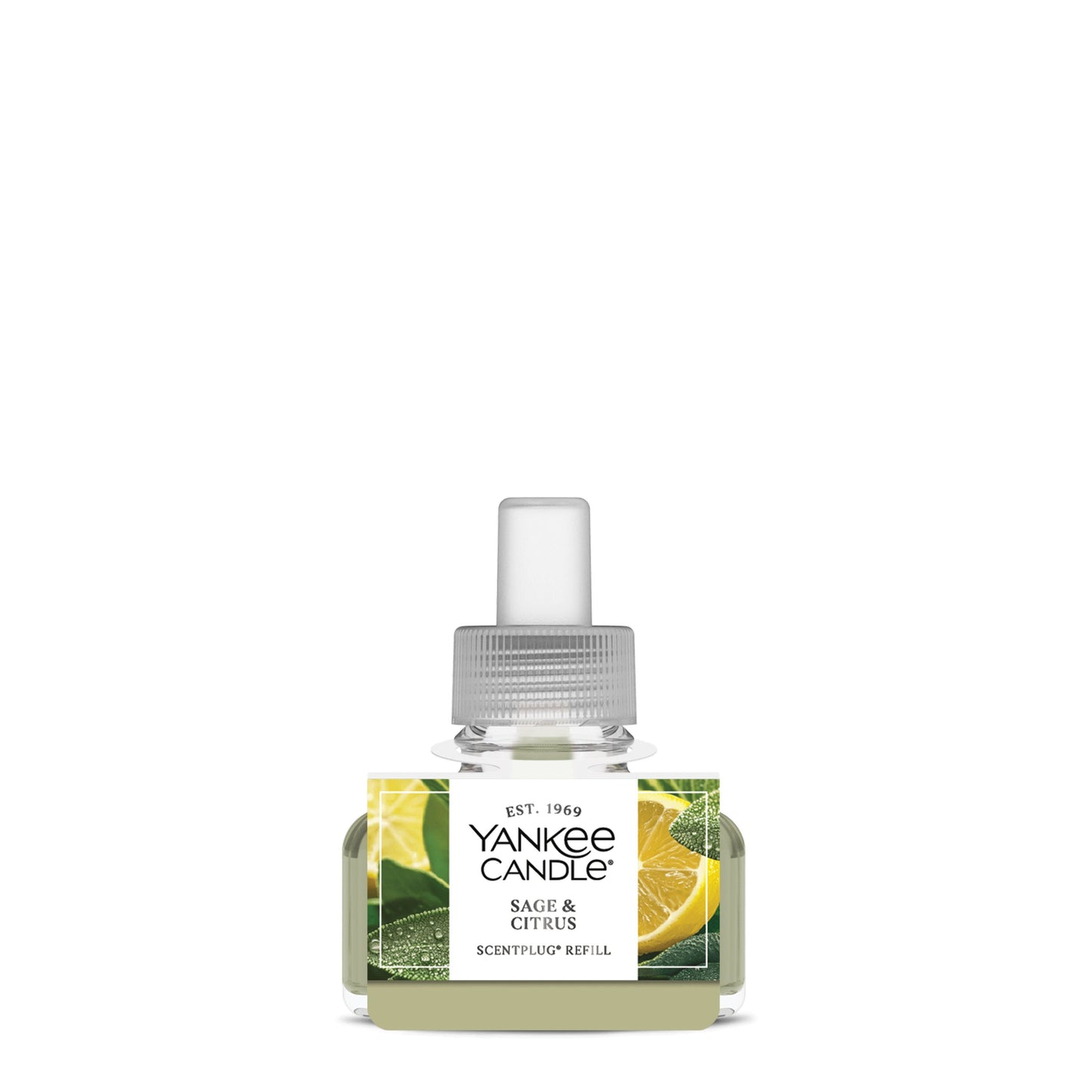 Sage & Citrus Wave 4-0517